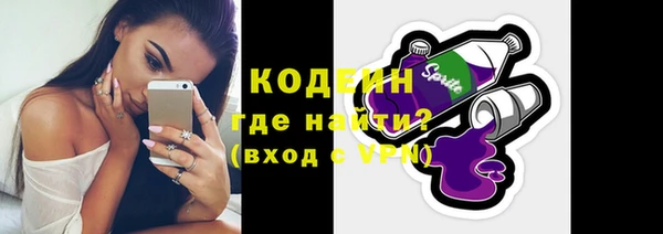 прущие грибы Новозыбков