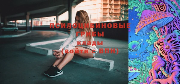 прущие грибы Новозыбков
