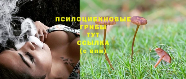 каннабис Абаза